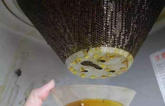 油煙機的濾網如果不經常清洗，就會糊上一層厚厚的油垢